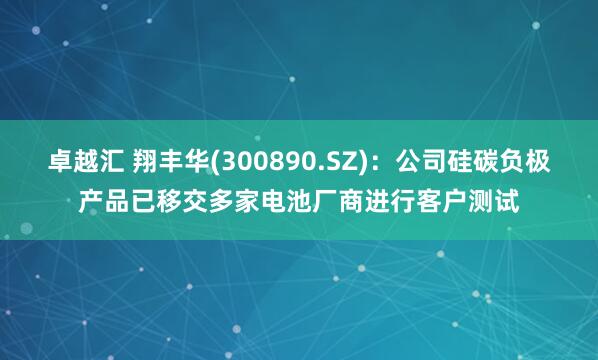 卓越汇 翔丰华(300890.SZ)：公司硅碳负极产品已移交多家电池厂商进行客户测试