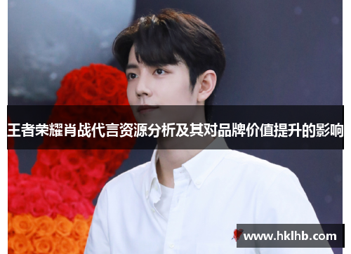 王者荣耀肖战代言资源分析及其对品牌价值提升的影响